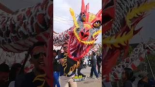 ular naga barongsai terbesar nih teman teman 🙈 #karnaval #naga #barongsai