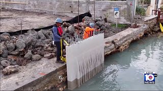 South Florida startup building eco-friendly seawalls