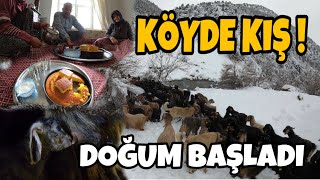 KÖYDE YOĞUN KAR!SOBADA KEK YAPTIM~İLK KEÇİ YAVRULARIMIZ DOĞDU