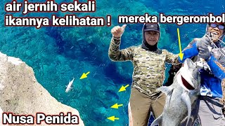 📛Wow !! Kalo sudah musimnya ikan besar datang bergerombol di spot ini !!