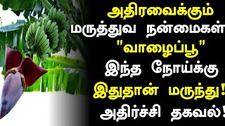 வாழைப்பூ மருத்துவ நன்மைகள்! | Banana Flower Health Benefits in Tamil| Health Tips in Tamil