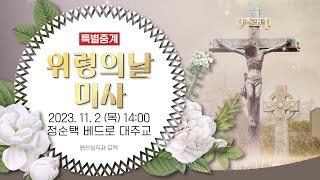 [특별중계] 죽은 모든 이를 기억하는 위령의 날 미사 | 용산 성직자 묘역 | 서울대교구장 정순택 베드로 대주교 주례