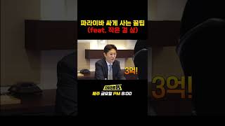 가성비 GD가 되는 법 (feat. 파라이바 싸게 사는 꿀팁)