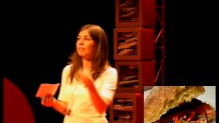 Aesthetics of Sustainable Food: Barbara Putman Cramer at TEDxWageningen