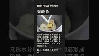 面团搅拌5个阶段 #烘焙#baking #shortsvideo