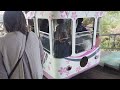 visiting the birthplace of cherry blossom mount yoshino nara japan. 吉野山　奈良県　金峯山寺 吉野水分神社