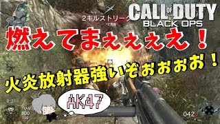 【COD:BO実況】火炎放射器が強すぎるぅぅう！【からくり】part4