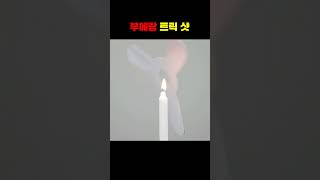 부메랑 외길 인생