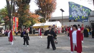 Hachioji Ginkgo Festival - Yosakoi Dance(八王子踊乱花), Nov 17, 2013