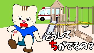 【アニメ 絵本読み聞かせ】どうして血が出るの？〜子ども向け血がでるしくみ〜