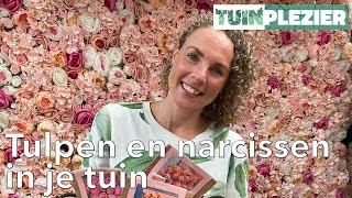 Tulpen en narcissen in je tuin | Voorjaarsbollen | Tuinplezier