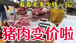 猪肉变价太吓人，看下8月10日集市上卖多少钱一斤？大吃一惊~带你们看每天中国菜市场物价【茉茉妈vlog】