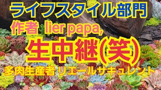 【多肉植物】日比谷公園ガーデニングショーLIVE配信