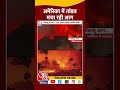 california fire news america में तांडव मचा रही आग shorts shortsviral aajtak