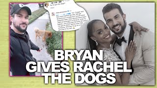 Bachelorette Star Bryan Abasolo Reveals That Rachel Gets The Dogs In The Divorce!