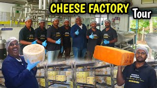 Cheese Factory Tour | Le Cheese Pondicherry