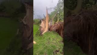 Tornado warnings and severe storms slam southern Ontario | #shorts #ontario