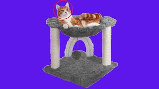 Before You Buy Furhaven Pet - Tiger Tough Tall Cat Tree Entertainment Playground