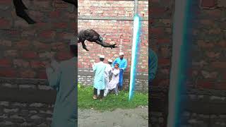 Moner Ghore Te Rakhese Jare || Islamic #shorts #viral #video || Like Comments And Share.