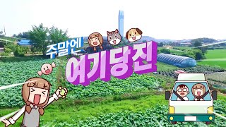 연잎밥, 천연염색 등 다살이농장에서 보내는 주말! - 주말엔여기당진(4), Experiencing rural area of Dangjin