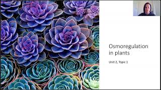 Osmoregulation in plants