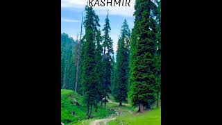 kashmir mere jannate kashmir || kashmiri songs || new2024#trending