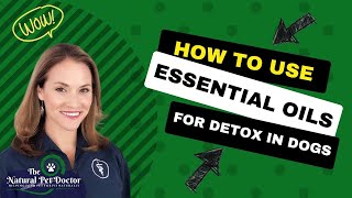 How To Use Essential Oils To Detox Your Dogs