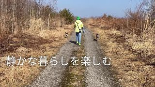 A day in the countryside with a dog and a cat / A taste of spring and a dog bed