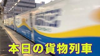 【貨物列車】本日の貨物列車　東海道本線1050番列車　Today's freight train