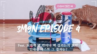 3멍9냥 VLOG - Volume 4. 타요 오토 주차장과 함께 노는 텔레토비냥들. 4K. Feat.도데체 렉이 몇 번 걸리는거야 아오.