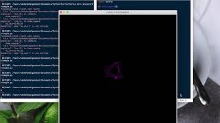 Python turtle Triangle flower code