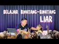 BELAJAR BINATANG-BINATANG LIAR BERSAMA JESLYN