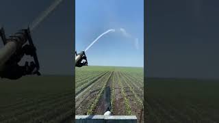 Water Sprinkler #sprinkler #sprinklersystem #farming #shorts