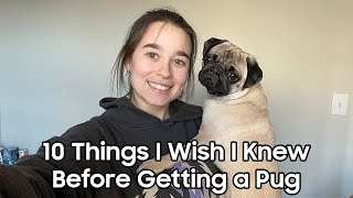 10 Things I Wish I Knew Before Getting a Pug Puppy // #Pug