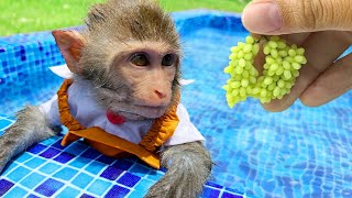 Monkey Baby Bim Bim harvest fruit in the farm and eat with puppy and duckling at the pool
