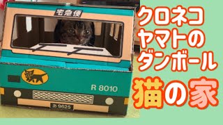 【作り方説明】クロネコヤマトのダンボールで猫用のおうちを作ってみました！〜I made a cat house out of  cardboard!