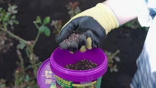 Soil prep with Seasol Super Compost \u0026 PowerFeed CR for Flowers, Fruit \u0026 Citrus - The Garden Gurus