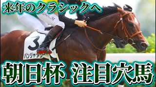 この馬を買いたい【朝日杯FS GⅠ 2024 予想】　#朝日杯フューチュリティステークス #パンジャタワー