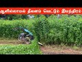 Best power Weeder | Tiller | Reaper for goat farming | BCS