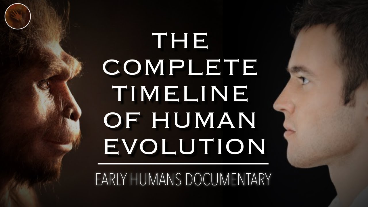 Exploring The Origins Of Humanity: A Complete Timeline Of Human ...