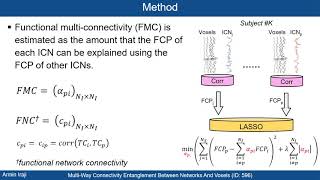 Functional Multi-Connectivity (ISBI 2020)