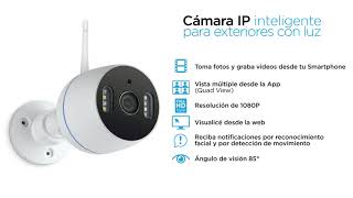 Cámara IP inteligente para exteriores con luz