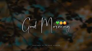 Good morning WhatsApp Status 😊  Morning WhatsApp Status 🖤 New WhatsApp Status 2020