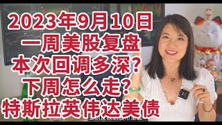 9月10日一周美股复盘，本次回调预计多深？下周怎么走？交易策略选取；SPX标普NDX纳指走势技术分析；COIN特斯拉TSLA英伟达NVDA苹果AAPL，美元DXY美债TNX；美股底层基础；交易人生等。