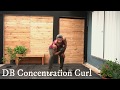 Db Concetration Curl