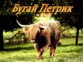 буктрейлер джури козака швайки Booktrailer буктрейлер джури козака швайки Booktrailer