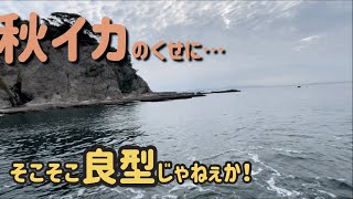 【江ノ島】秋のエギング初心者でも楽しめるよ！