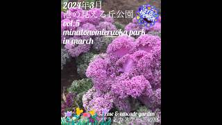 【2024年3月 港の見える丘公園】minatonomieruoka park in march