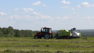 В Мозырском районе в самом разгаре первый укос трав