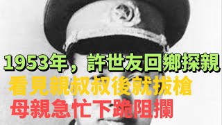 1953年，許世友回鄉探親，看見親叔叔後就拔槍，母親急忙下跪阻攔#中國歷史 #歷史 #真實故事 #民國 #國民黨 #抗戰